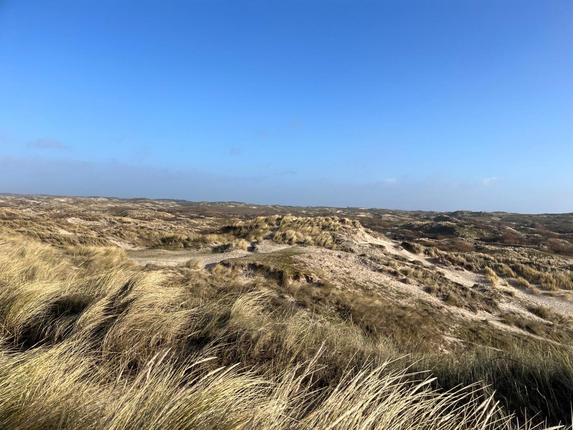 Vakantiehuis Aan Zee Egmond aan Zee Εξωτερικό φωτογραφία